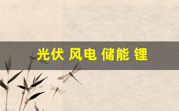 光伏 风电 储能 锂电 半导体(光伏风电储能概念龙头股)_https://www.wguangz.com_郑商所_第1张